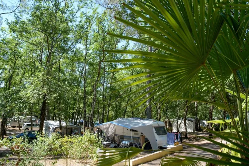 Emplacement Caravane / Tente + 1 Voiture + 10A