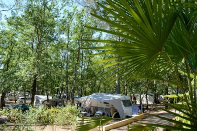 Pitch Caravan / Large tent + 1 Car + 10A — 5