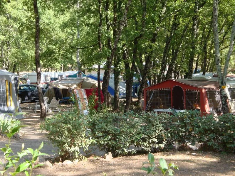 Emplacement Caravane / Tente + 1 Voiture + 10A