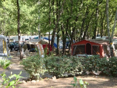 Pitch Caravan / Large tent + 1 Car + 10A — 4