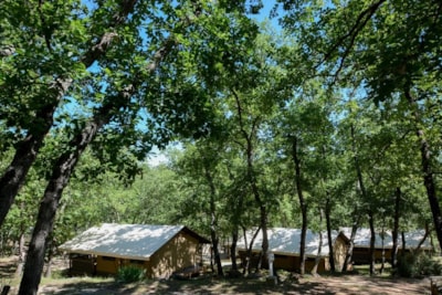 Safari Lodge 34m² terrace — 2