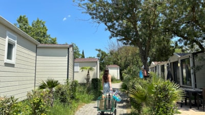 Camping Tikayan Domaine du Golfe de Saint Tropez