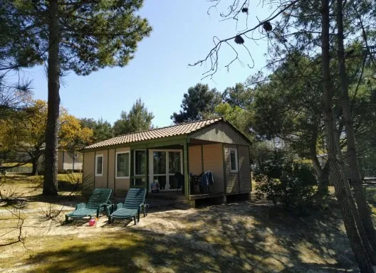 Chalet Confort Rêve 2 Chambres 31M²