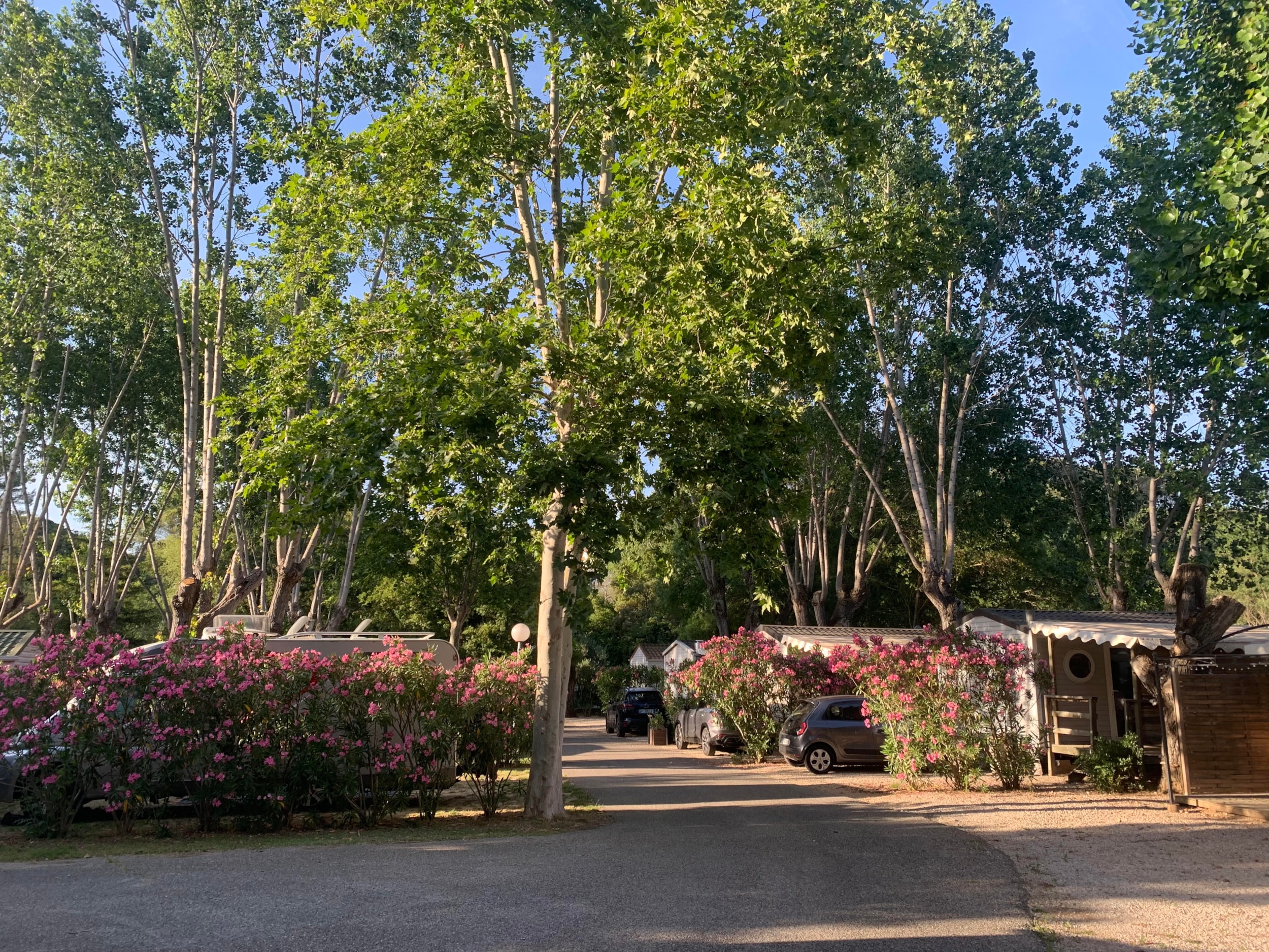 Camping les Fouguières — Photo 9