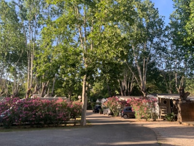 Camping les Fouguières
