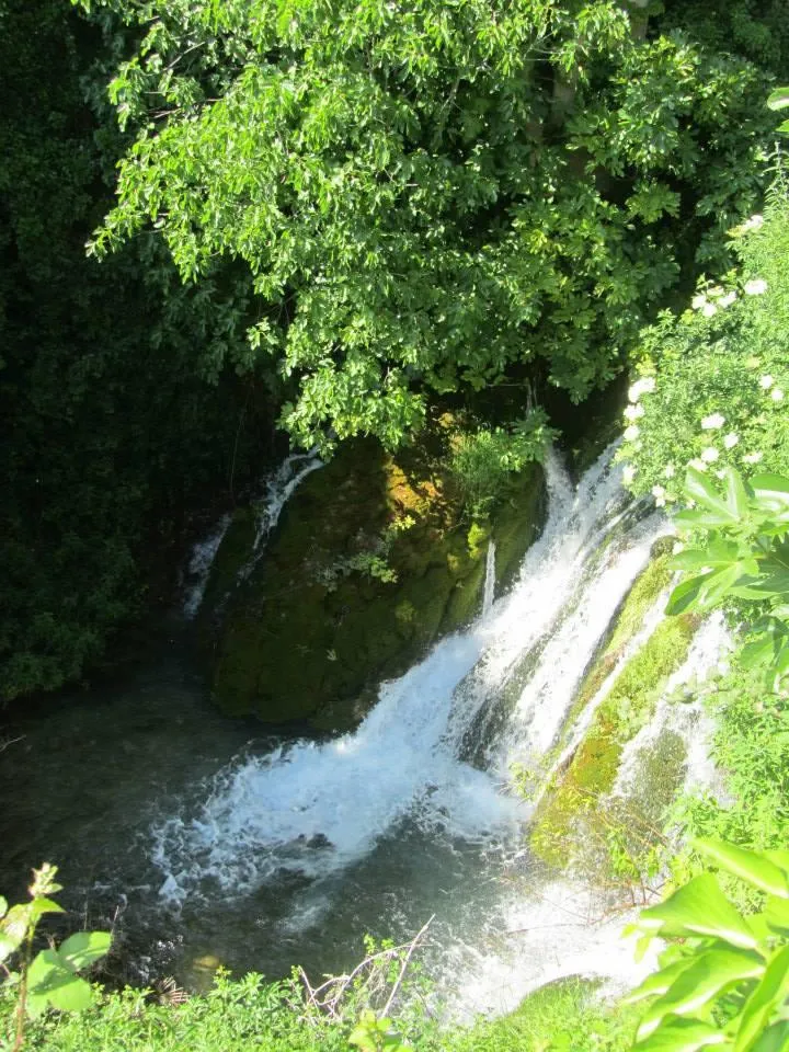 Camping L'Avelanède