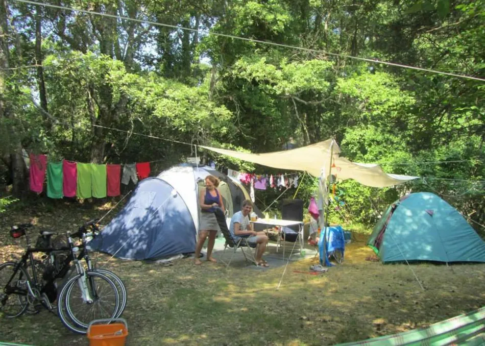 Camping L'Avelanède