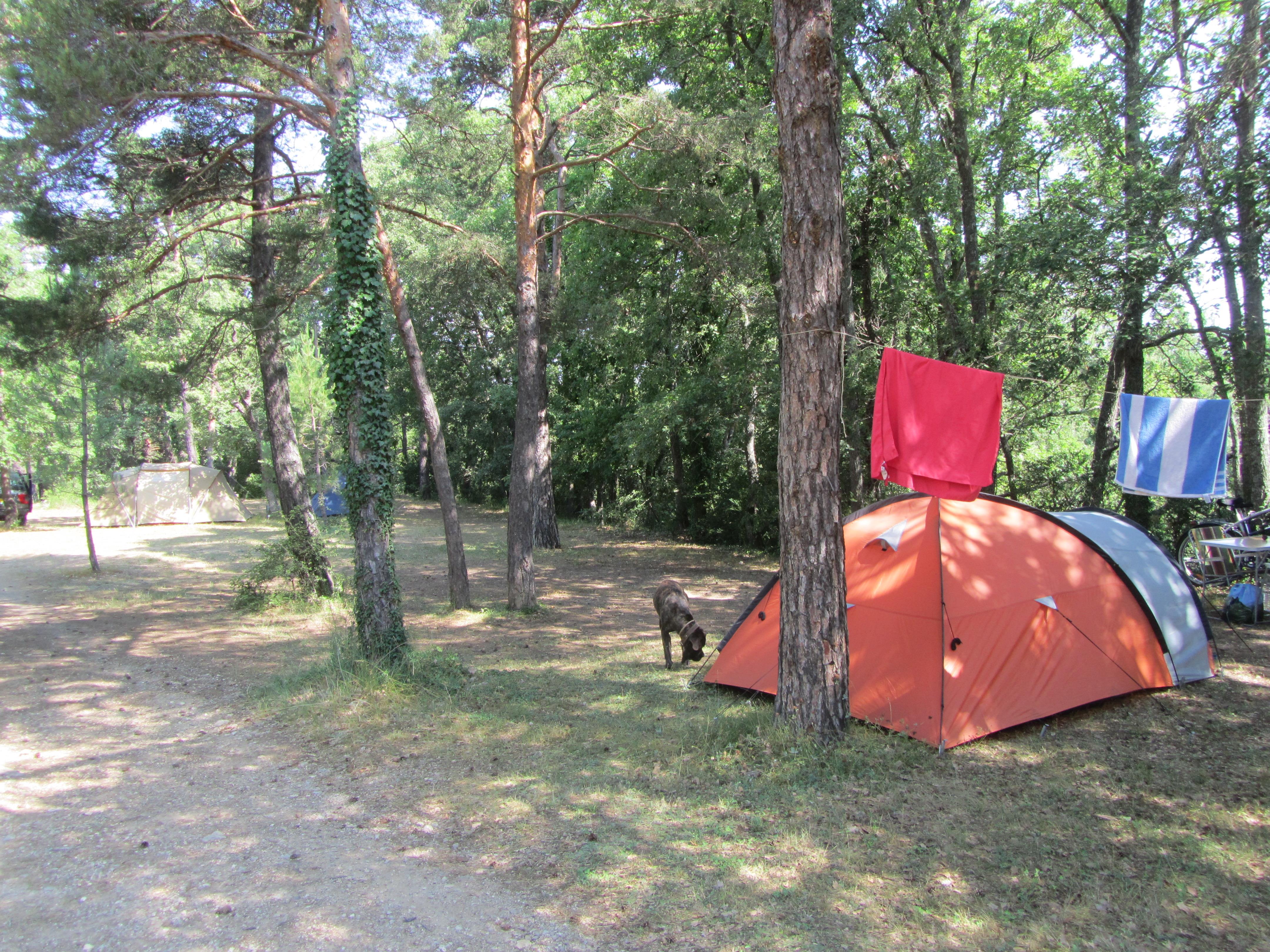 Emplacement nu pour tente, caravane ou camping car