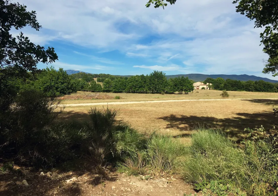 Camping L'Avelanède