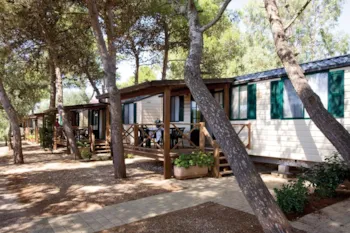 Mietunterkunft - Mobilheim - Camping Santa Maria di Leuca