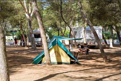 Pitch: car/motorbike + tent > 3 places /caravan or camping-car + electricity — 2