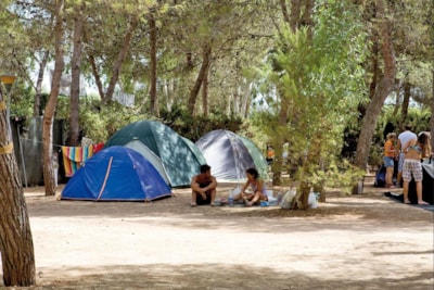 Pitch: car/motorbike + tent > 3 places /caravan or camping-car + electricity — 3