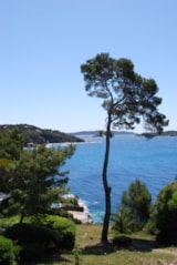 Foto #23 van Camping LA TOUR FONDUE