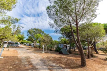 Stellplatz - „Economy“-Stellplatz - Camping LA TOUR FONDUE