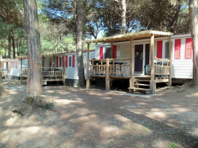 Mobile-home Rosa — 3