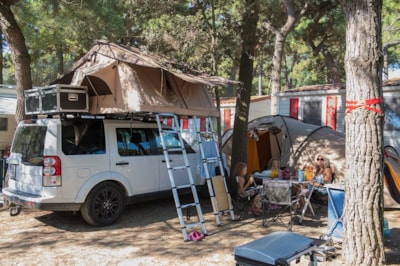STANDARD Pitch 60 m2- (Tent - Caravan - Camping Car max 7 m)  with 1 Car or moto — 1