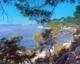 Foto #34 van Camping Les Playes