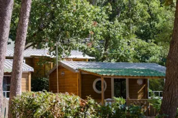 Mietunterkunft - Mobilheim  Gaou 20 M² - 1 Zimmer - Terrasse 9 M² / Sonntag-Sonntag - Camping Les Playes