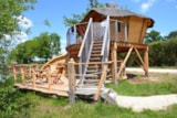 Cabane Familiale Sur Pilotis Amarante Cabane Familiale Sur Pilotis Amarante