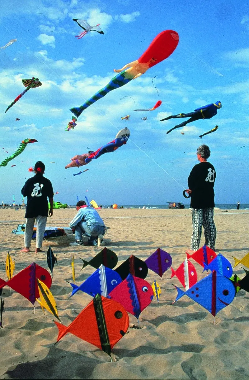 Club del Sole Adriatico Cervia Easy Camping Village