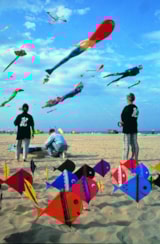 Foto #16 van Club del Sole Adriatico Cervia Easy Camping Village