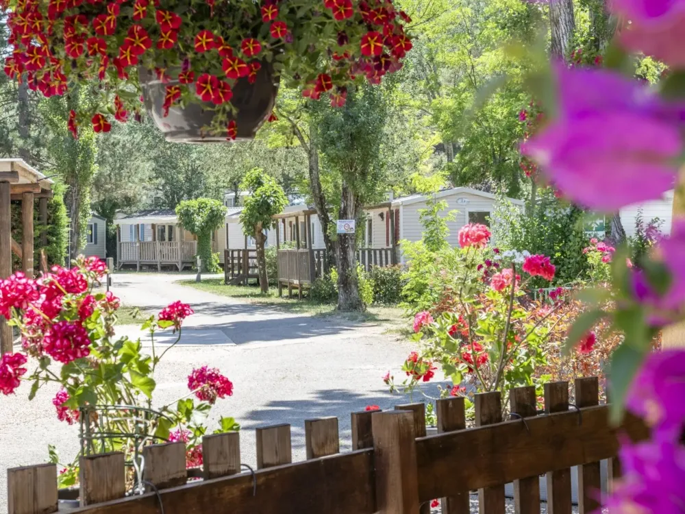 Flower Camping La Vidaresse - image n°1 - Camping2Be