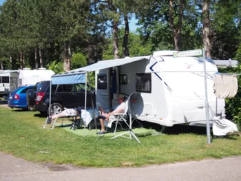Stellplatz - Stellplatz Zelt/Wohnwagen 10 Amp, Tv - Camping Liesbos