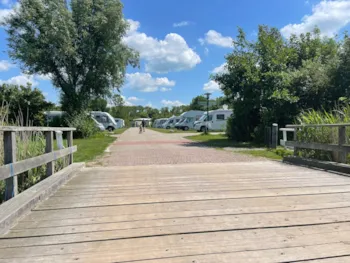 Stellplatz - Stellplatz Wohnwagen - Camping de Zeehoeve