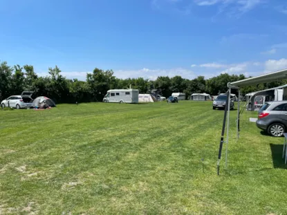 Caravan Pitch With Electricity