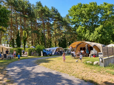 High comfort package (Pitch for car + tent / caravan or motorhome, electricity 10A)