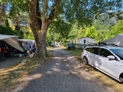 High comfort package (Pitch for car + tent / caravan or motorhome, electricity 10A)
