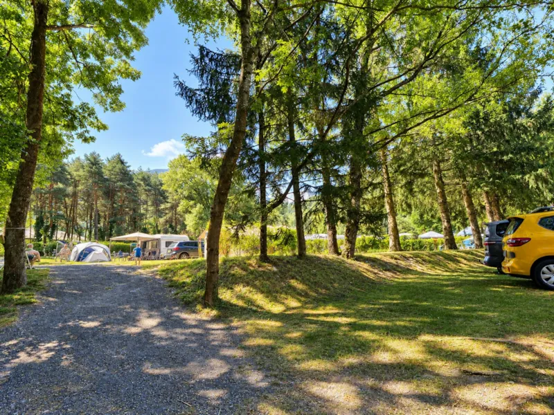 Forfait Confort (Emplacement Voiture + Tente/Caravane Ou Camping-Car Électricité 10A)
