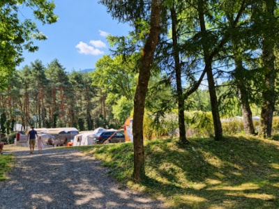 High comfort package (tent / caravan or motorhome, electricity 10A + water)