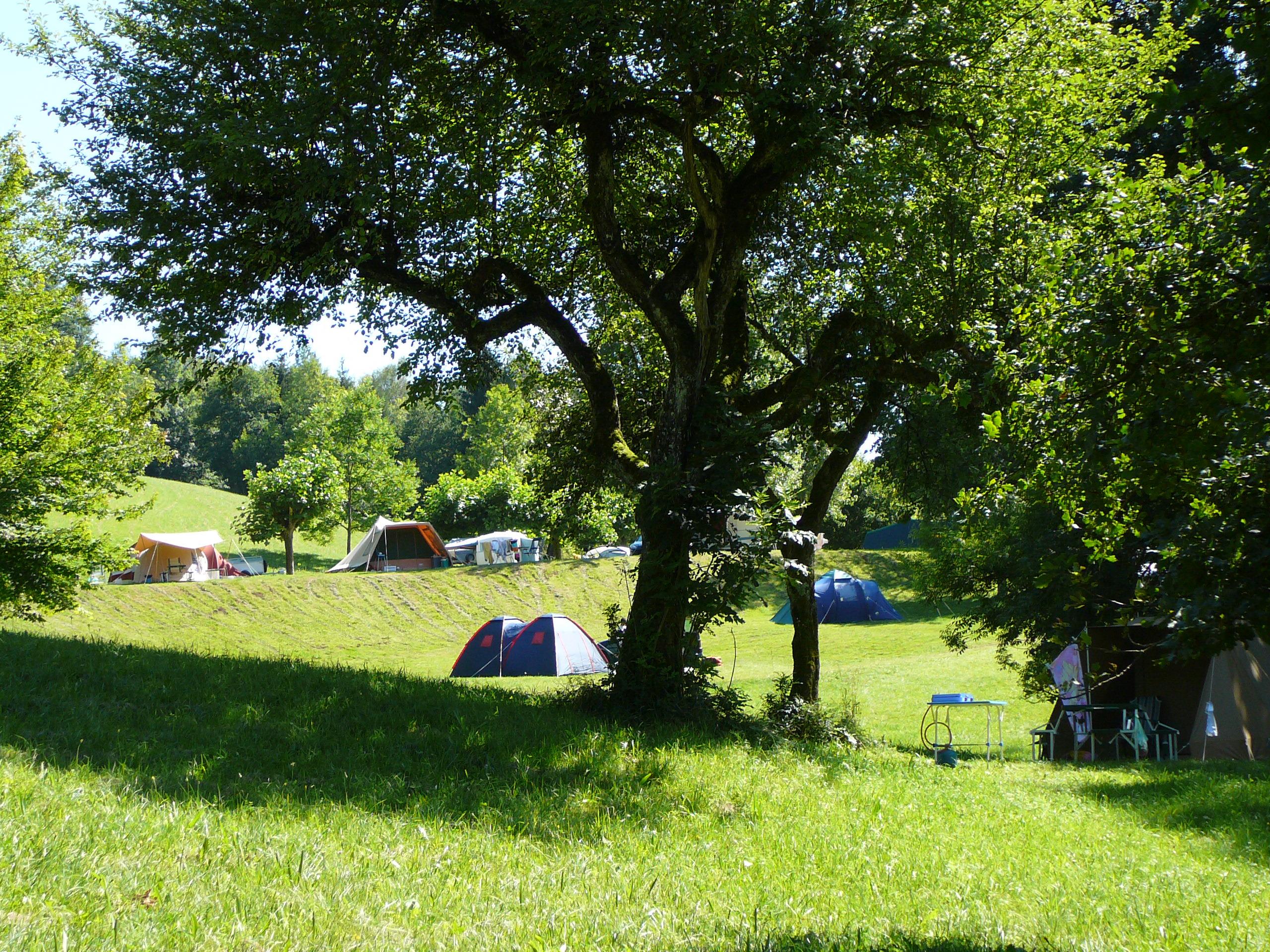 Kampeerplaats - Kampeerplaats 100M² - Camping Le Crêtoux