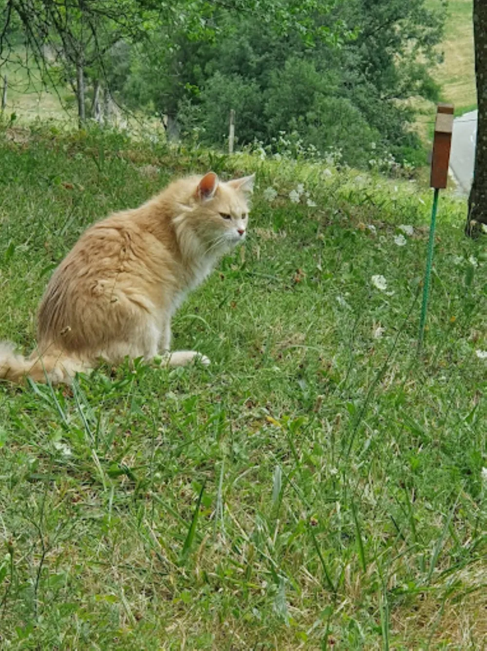 Camping Le Crêtoux - image n°26 - Savoie