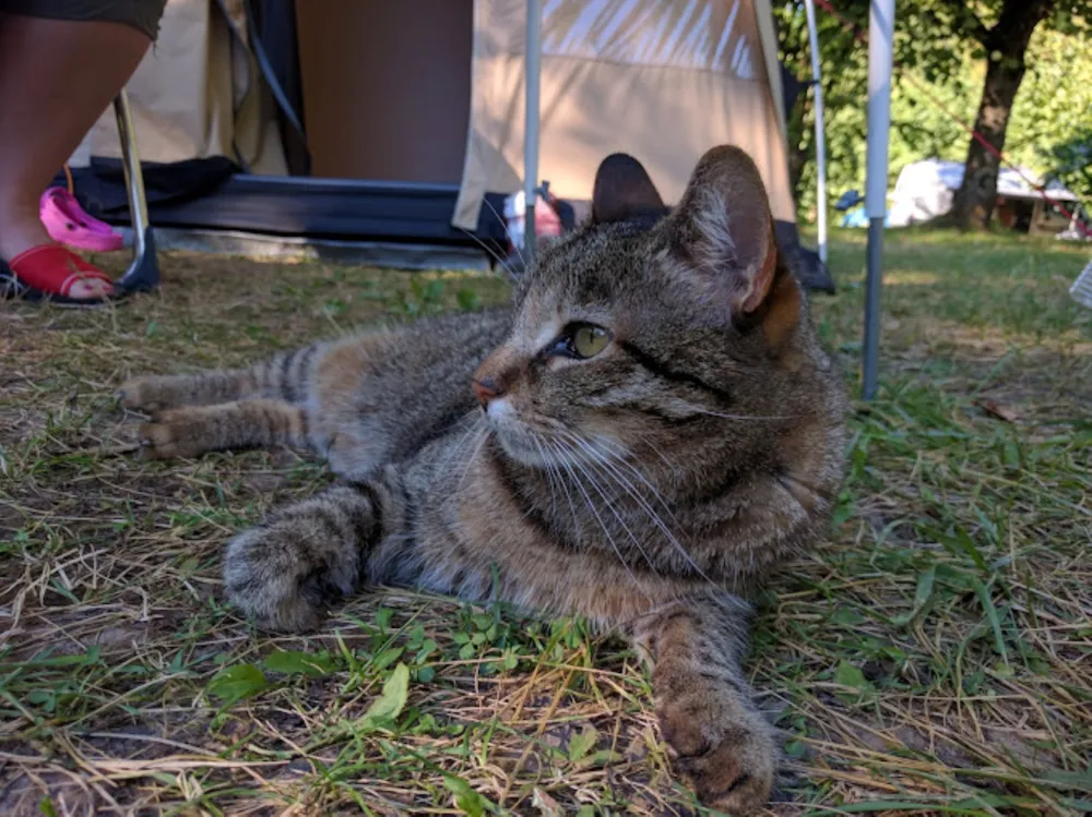 Camping Le Crêtoux - image n°25 - Savoie