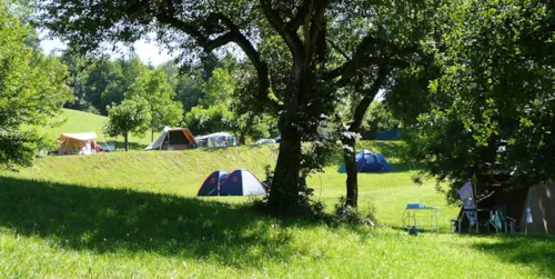 Emplacement - Emplacement Caravane - image n°5 - Camping Le Crêtoux