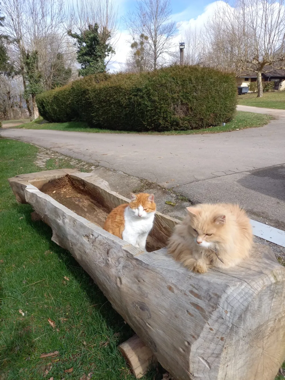 Camping Le Crêtoux - image n°24 - Savoie