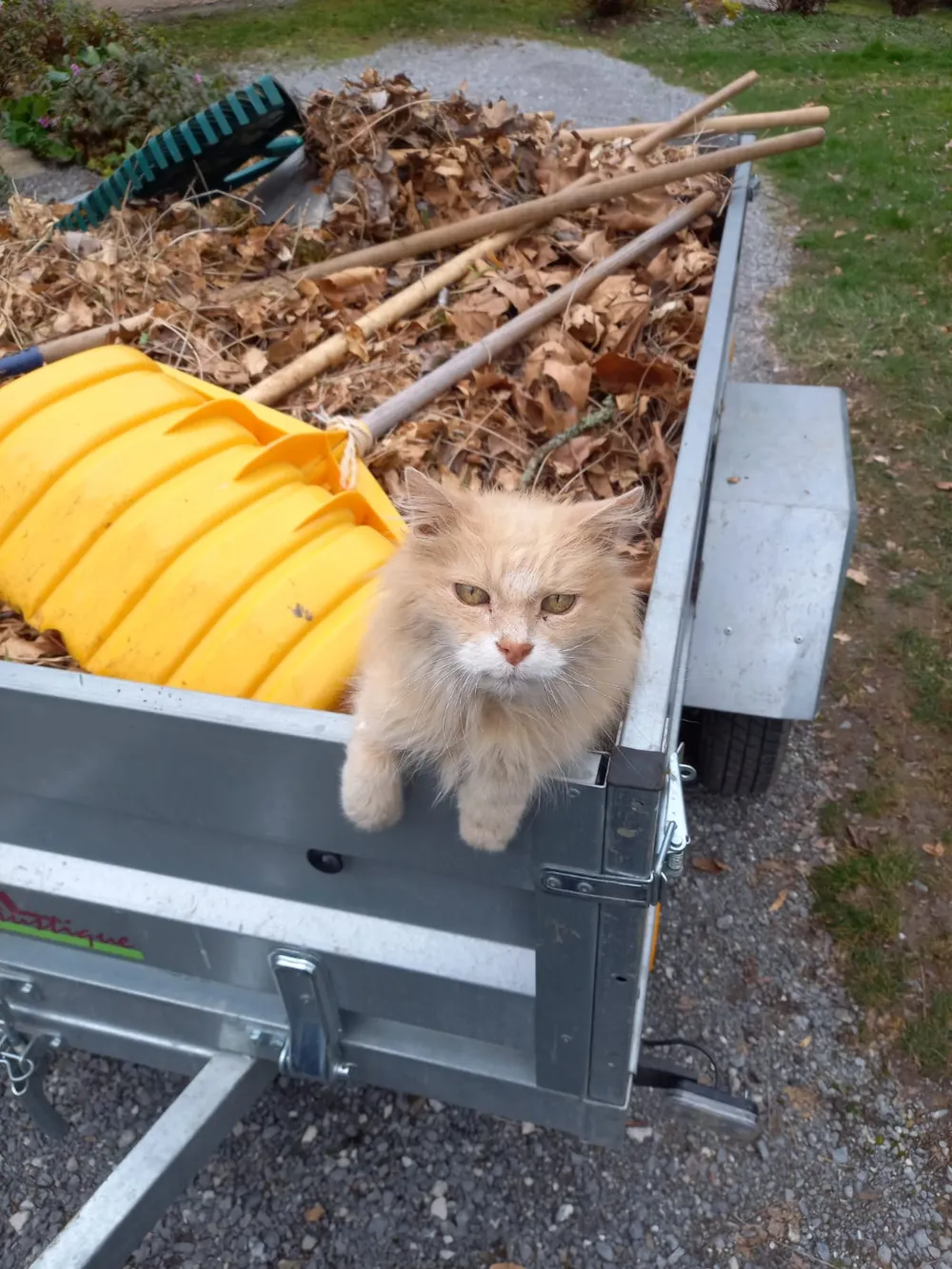 Camping Le Crêtoux - image n°23 - Savoie