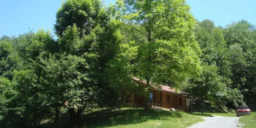 Location - Chalet Pour 2 Personnes - 17 M² - 1 Chambre S - image n°7 - Camping Le Crêtoux
