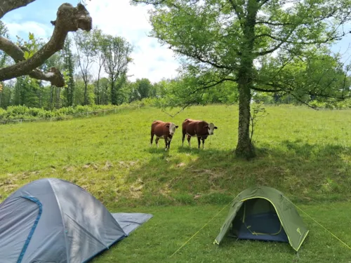 Location - Tente 2 Personnes Prête À Camper - image n°1 - Camping Le Crêtoux