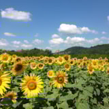 Foto #59 van Camping Les Deux Vallées