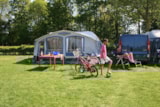 Foto #2 van Camping De Krabbeplaat