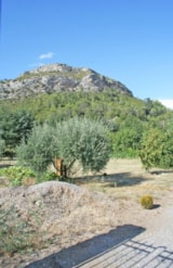 Foto #66 van Camping Les Plans