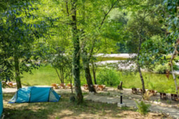 Camping Les Plans - image n°6 - Roulottes