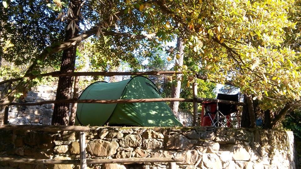 Camping La Pineta — Photo 3