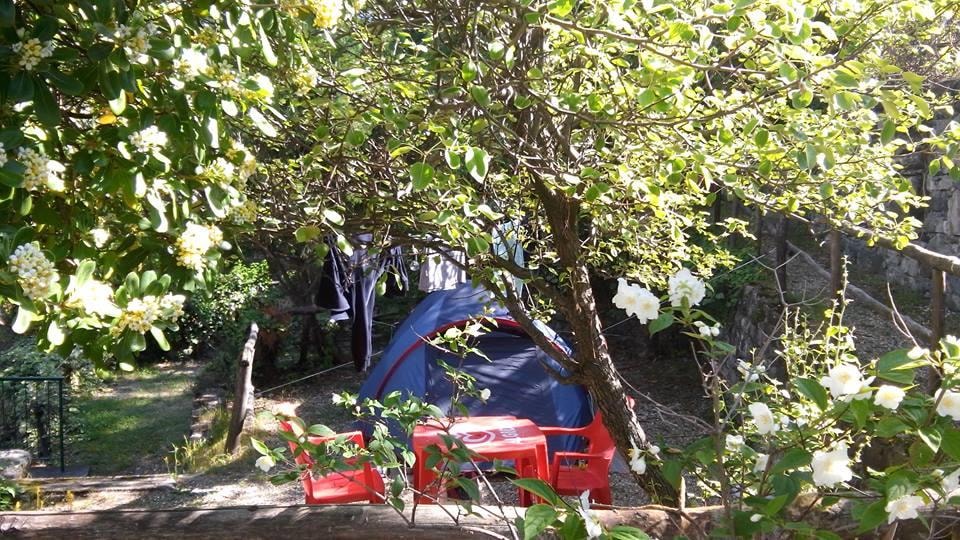 Camping La Pineta — Foto 4