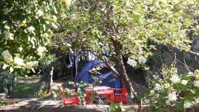 Camping La Pineta
