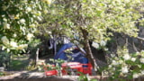 Foto #4 van Camping La Pineta