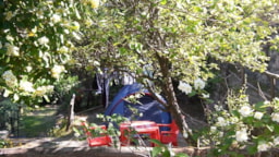 Camping La Pineta - image n°4 - Roulottes